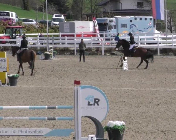 Reitturnier St. Margarethen 2025