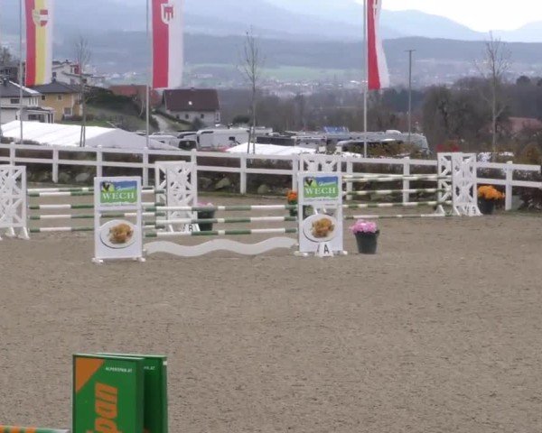 Reitturnier St. Margarethen 2025