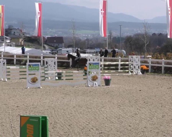 Reitturnier St. Margarethen 2025