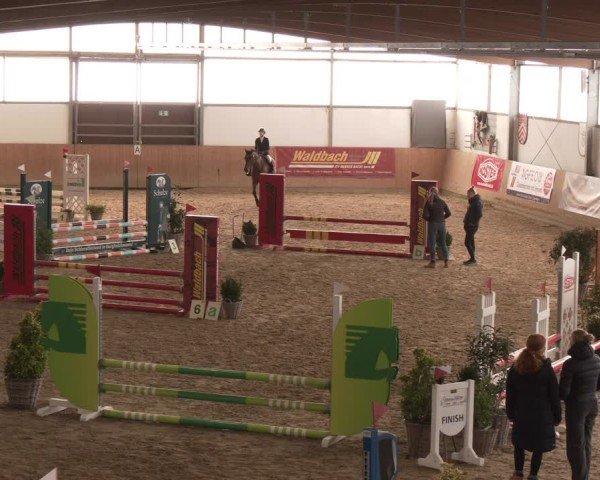 Reitturnier Borgholzhausen 2025