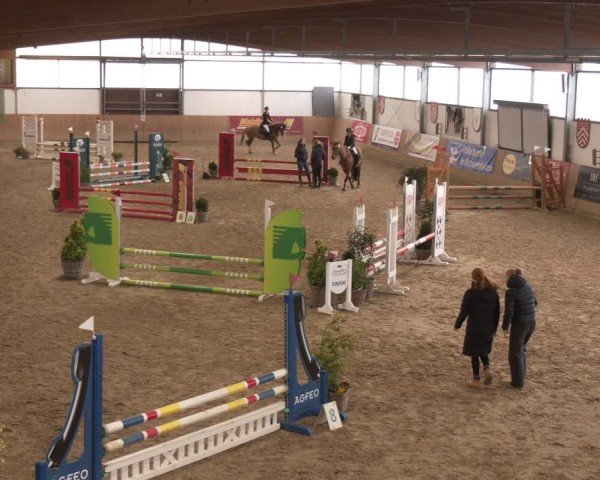 Reitturnier Borgholzhausen 2025