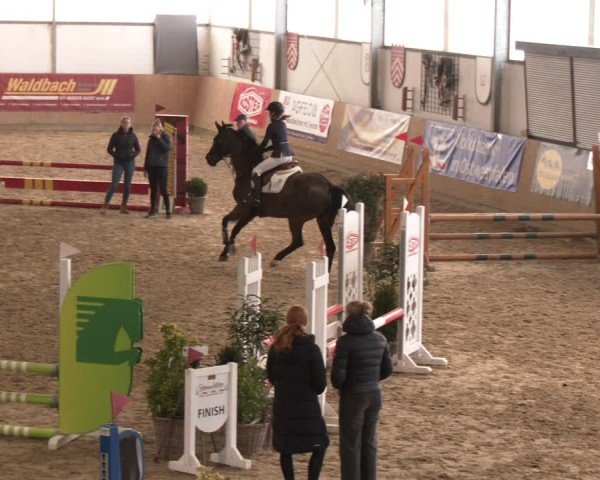 Reitturnier Borgholzhausen 2025
