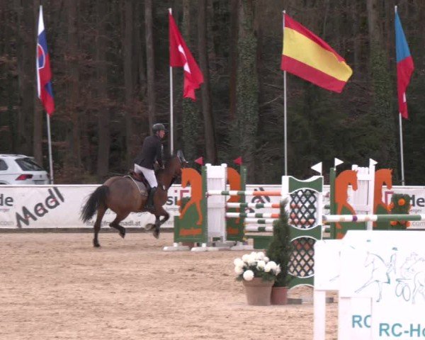 Reitturnier Ranshofen - Braunau am Inn 2025