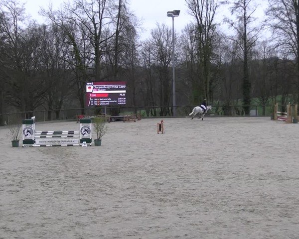 Reitturnier Erkrath 2025