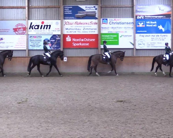 Reitturnier Leck 2025