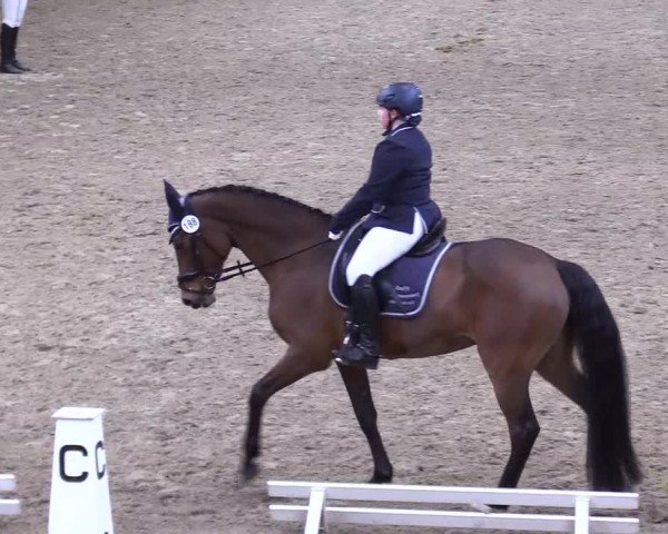 Reitturnier Leck 2025