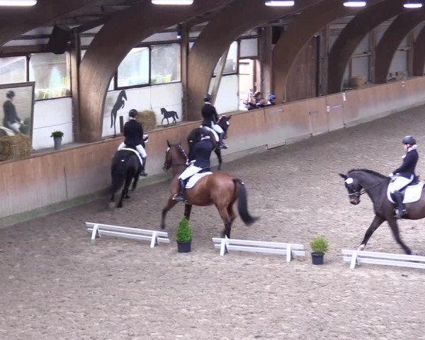 Reitturnier Leck 2025