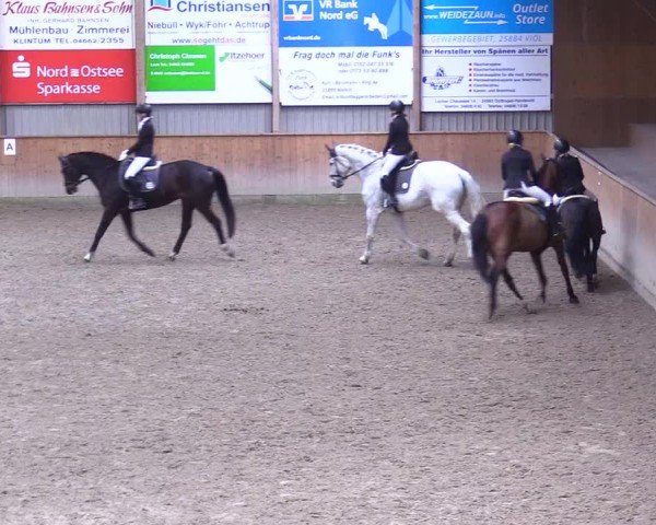 Reitturnier Leck 2025