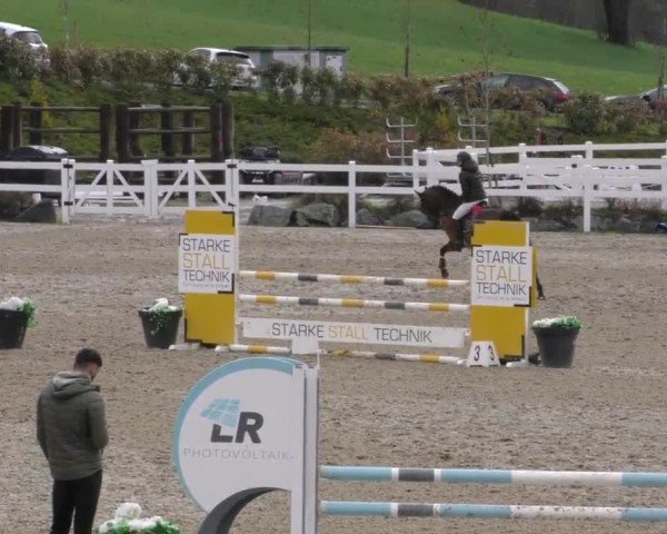 Reitturnier St. Margarethen 2025