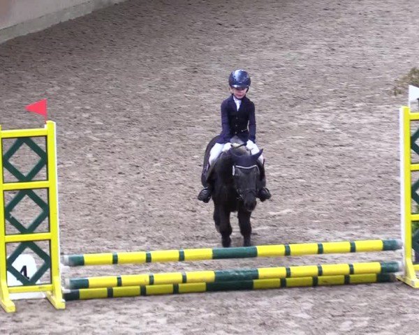 Reitturnier Leck 2025