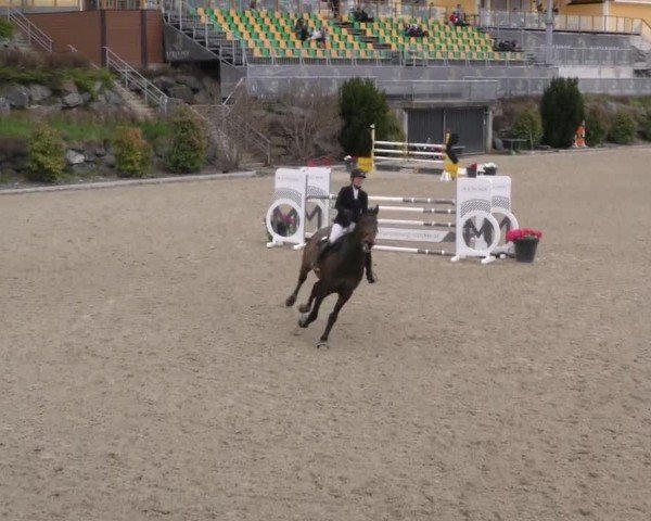 Reitturnier St. Margarethen 2025