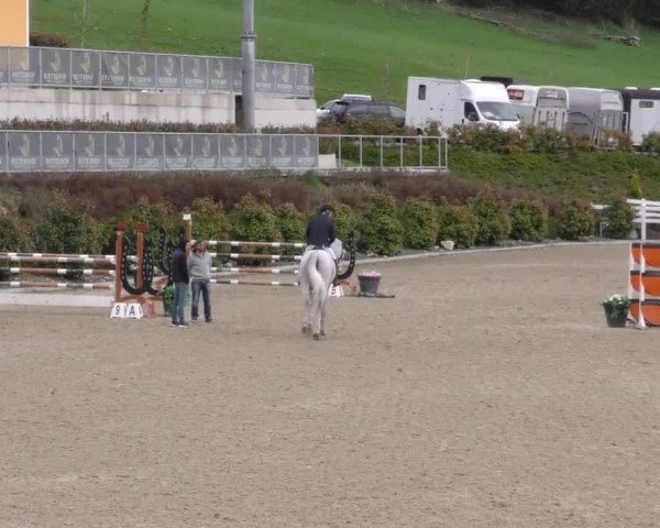 Reitturnier St. Margarethen 2025