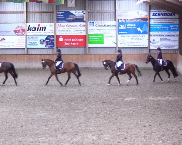Reitturnier Leck 2025