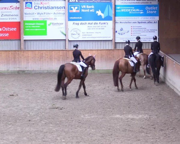 Reitturnier Leck 2025
