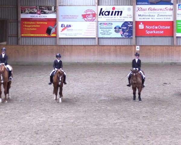 Reitturnier Leck 2025