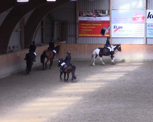 Reitturnier Leck 2025