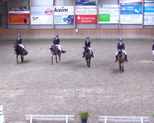 Reitturnier Leck 2025