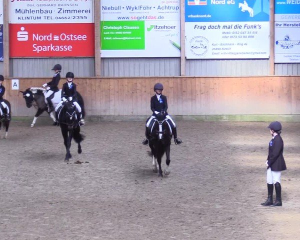 Reitturnier Leck 2025