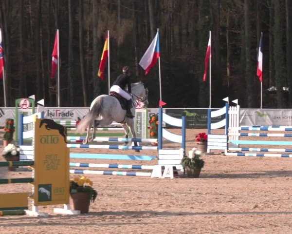 Reitturnier Ranshofen - Braunau am Inn 2025