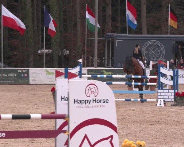 Reitturnier Ranshofen - Braunau am Inn 2025