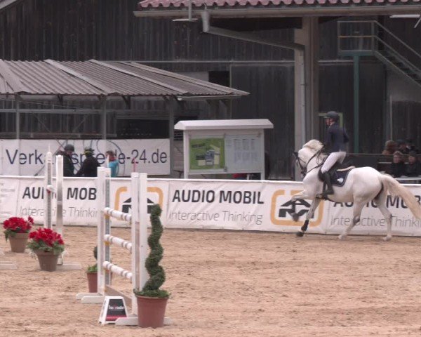 Reitturnier Ranshofen - Braunau am Inn 2025