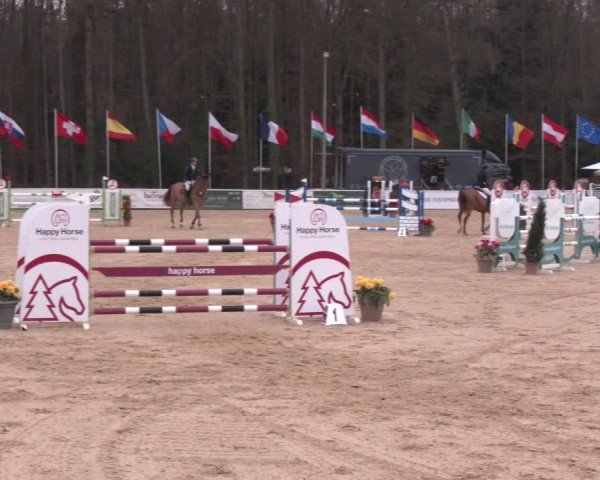 Reitturnier Ranshofen - Braunau am Inn 2025