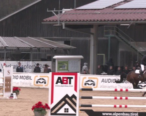 Reitturnier Ranshofen - Braunau am Inn 2025