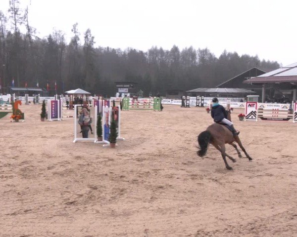 Reitturnier Ranshofen - Braunau am Inn 2025