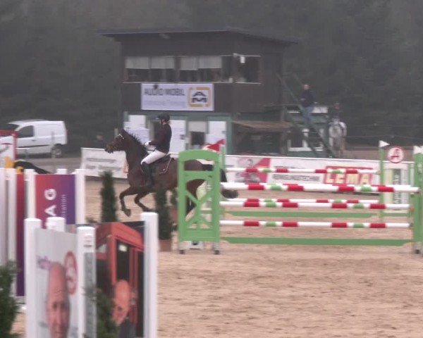 Reitturnier Ranshofen - Braunau am Inn 2025