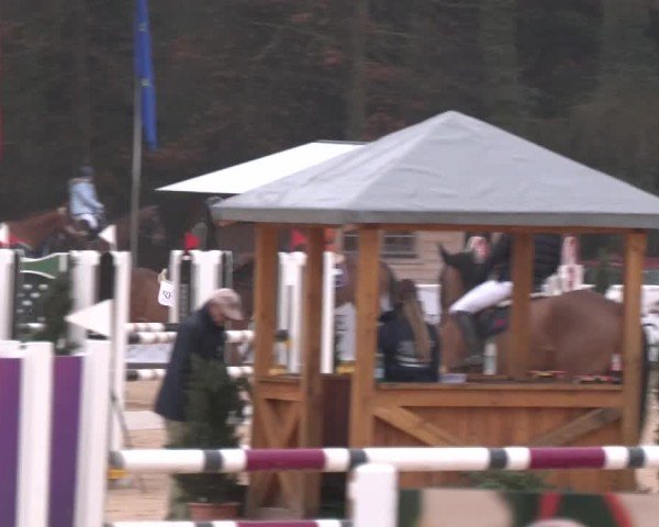 Reitturnier Ranshofen - Braunau am Inn 2025