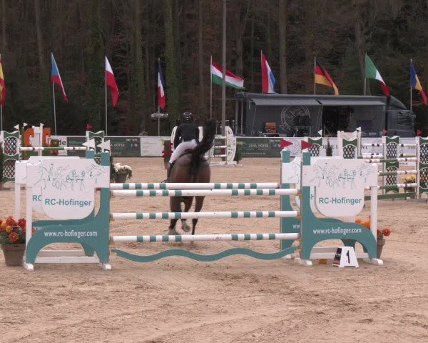 Reitturnier Ranshofen - Braunau am Inn 2025