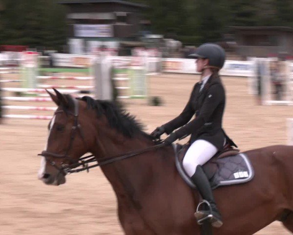 Reitturnier Ranshofen - Braunau am Inn 2025