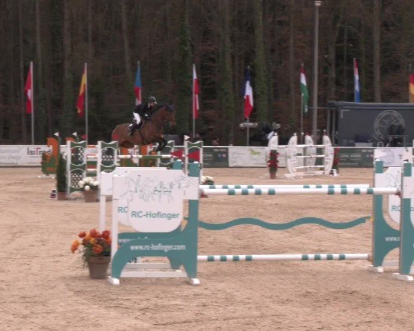 Reitturnier Ranshofen - Braunau am Inn 2025