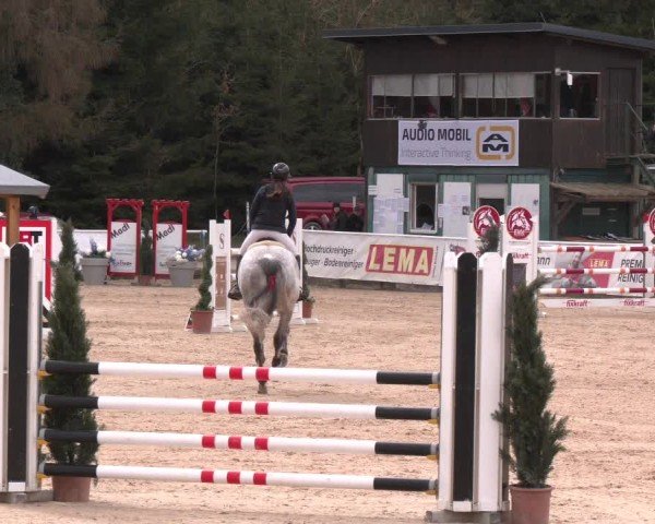 Reitturnier Ranshofen - Braunau am Inn 2025