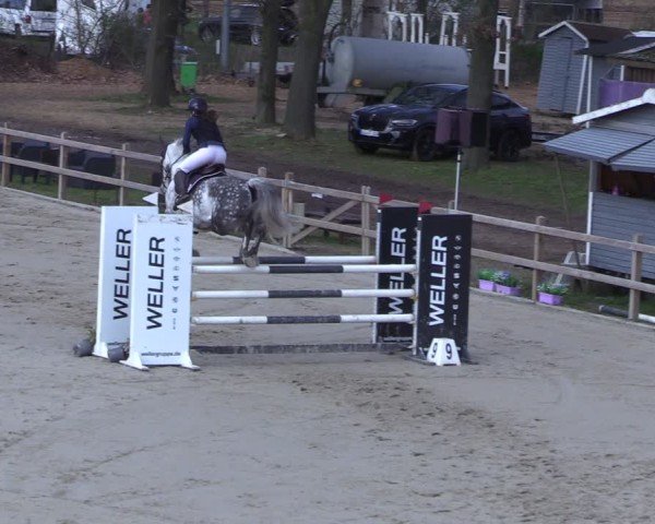 Reitturnier Scharnebeck 2025