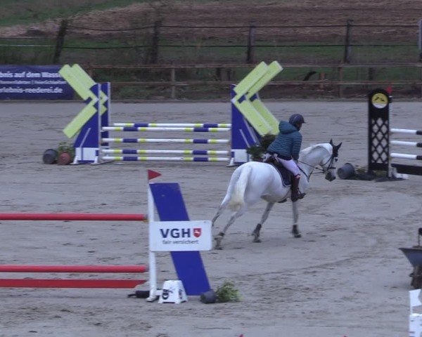Reitturnier Scharnebeck 2025