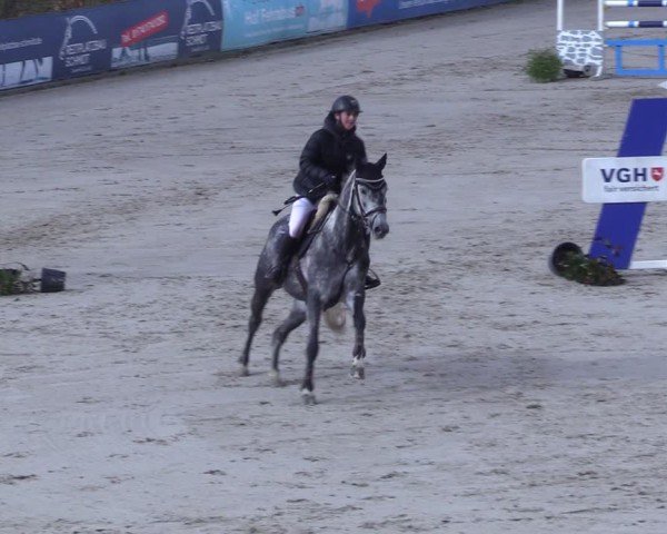 Reitturnier Scharnebeck 2025