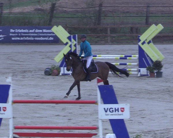 Reitturnier Scharnebeck 2025