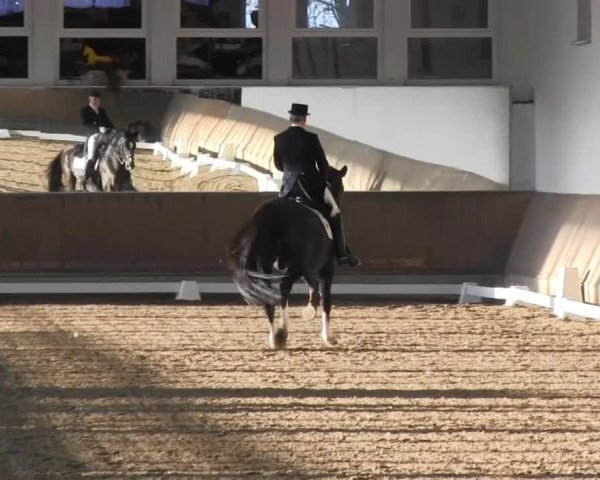 Hallenreitturnier RV Giebelwald 2013