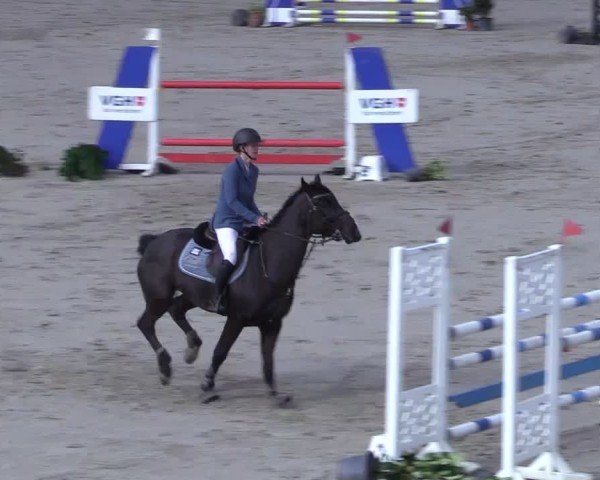 Reitturnier Scharnebeck 2025