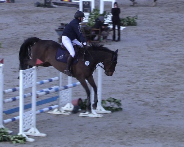 Reitturnier Scharnebeck 2025