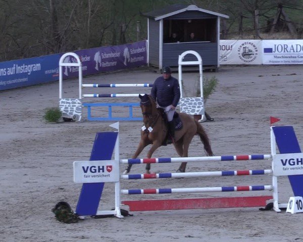 Reitturnier Scharnebeck 2025