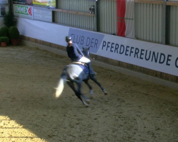 Reitturnier Goch 2025