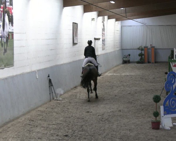 Reitturnier Lentzke 2025