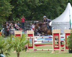 broodmare Eyve (Holsteiner, 2012, from Quintero)