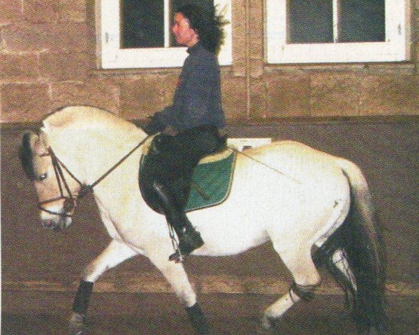 broodmare Hilka (Fjord Horse, 1999, from Ohlsen)