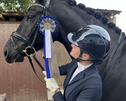 Dressurpferd Gentleman 278 (Oldenburger, 2020, von Galaxy)
