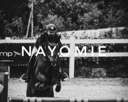 jumper Nayomie (Oldenburg show jumper, 2015, from Naldo 29)