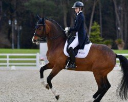 Dressurpferd Roksanda (Westfale, 2015, von Rock For You 2)