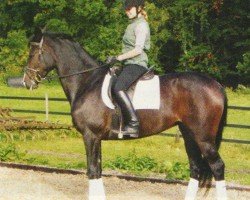 jumper Ria Chanel (Holsteiner, 2001, from Dream of Glory)